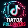 Premium TikTok Follower kaufen